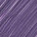 VIOLET INDIGO