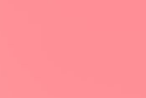 258 ROSE