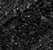 01 TOTAL BLACK