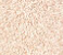 PEARLESCENT IVORY