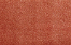 02 CORAL SPLASH