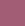 VIOLET ORCHID