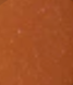 RUST