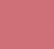 Lush Pink 07