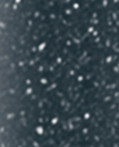 Silver Dust 09