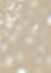 Fizzy Champagne 02
