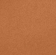 Warm Medium 03