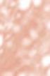 Soft Rose 04