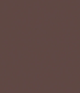 Stone Brown 11