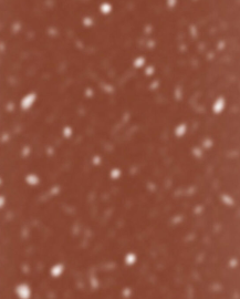 Golden Brown 05