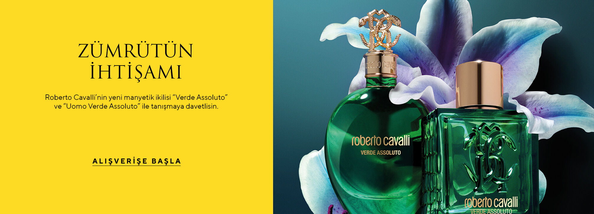 AdS-Roberto Cavalli-Mar13-Kategori