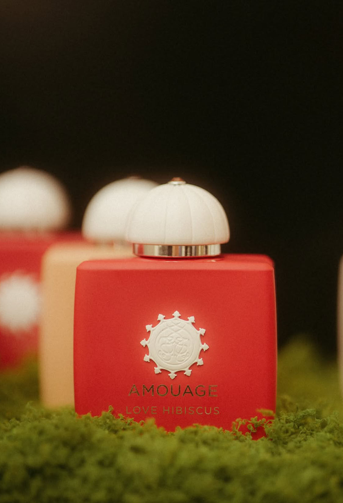 AMOUAGE Parfüm