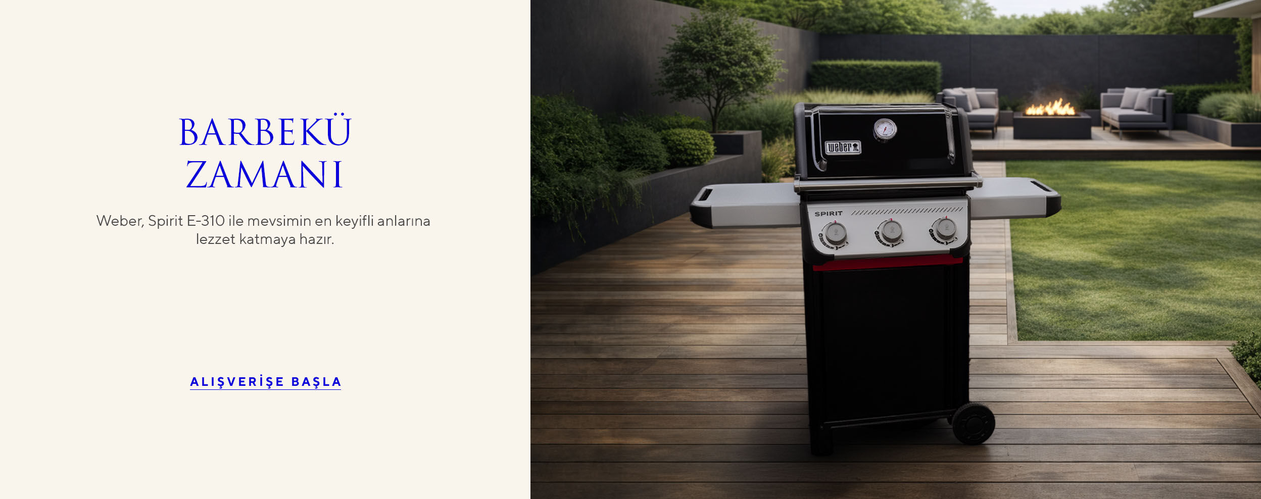 adsales-weber-desktop-apr26