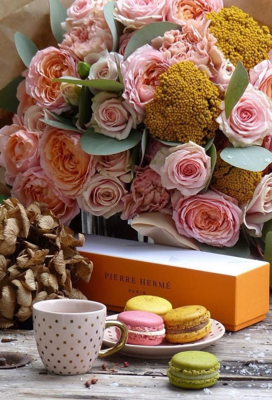 PIERRE HERMÉ Özel Lezzetler