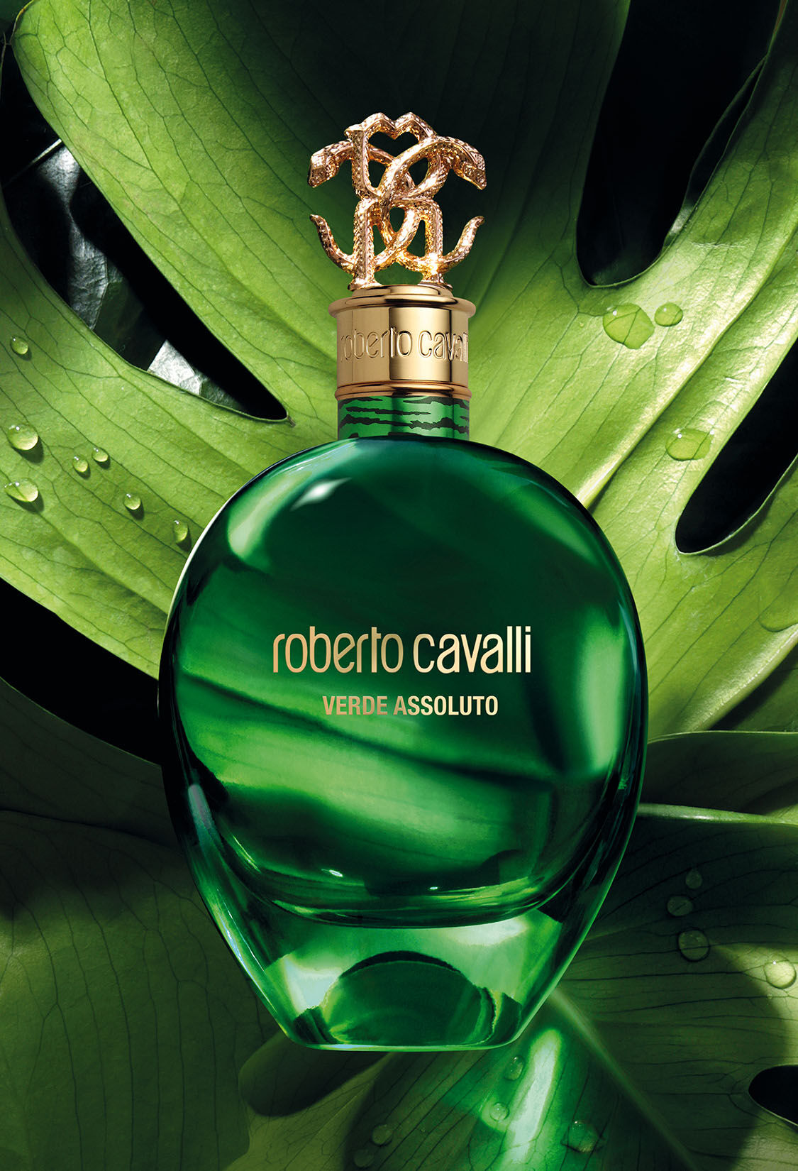 ROBERTO CAVALLI Parfüm