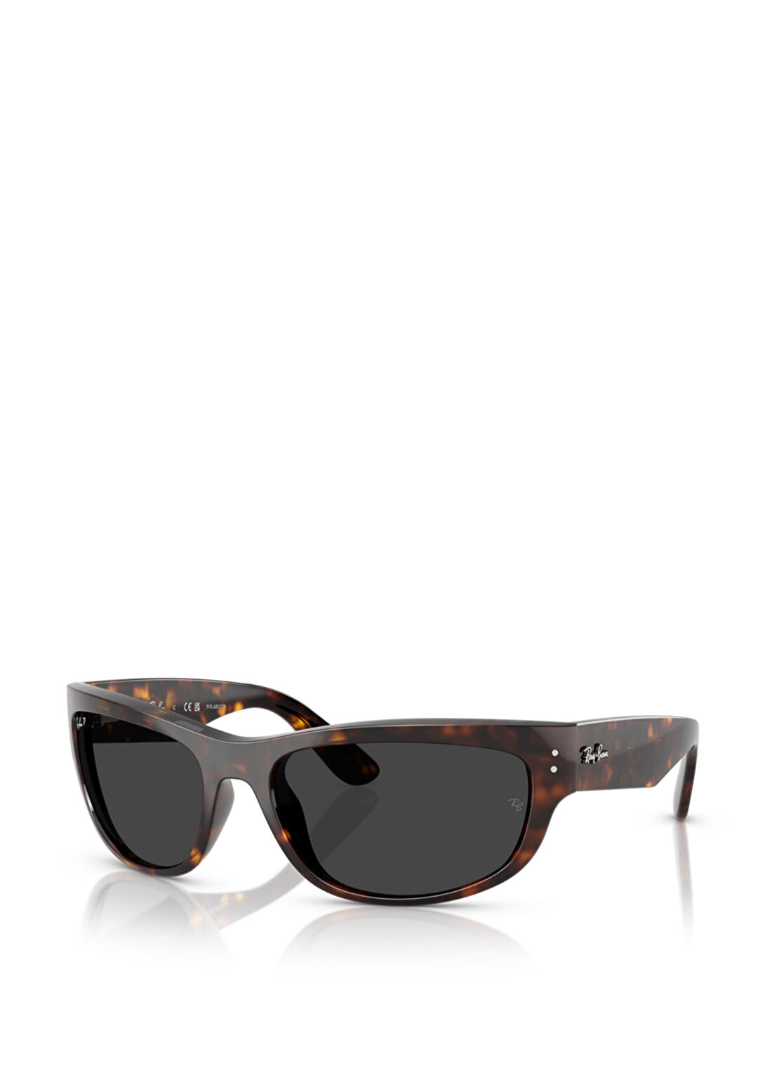 Ray-Ban RB2289 Kahverengi Unisex Güneş Gözlüğü