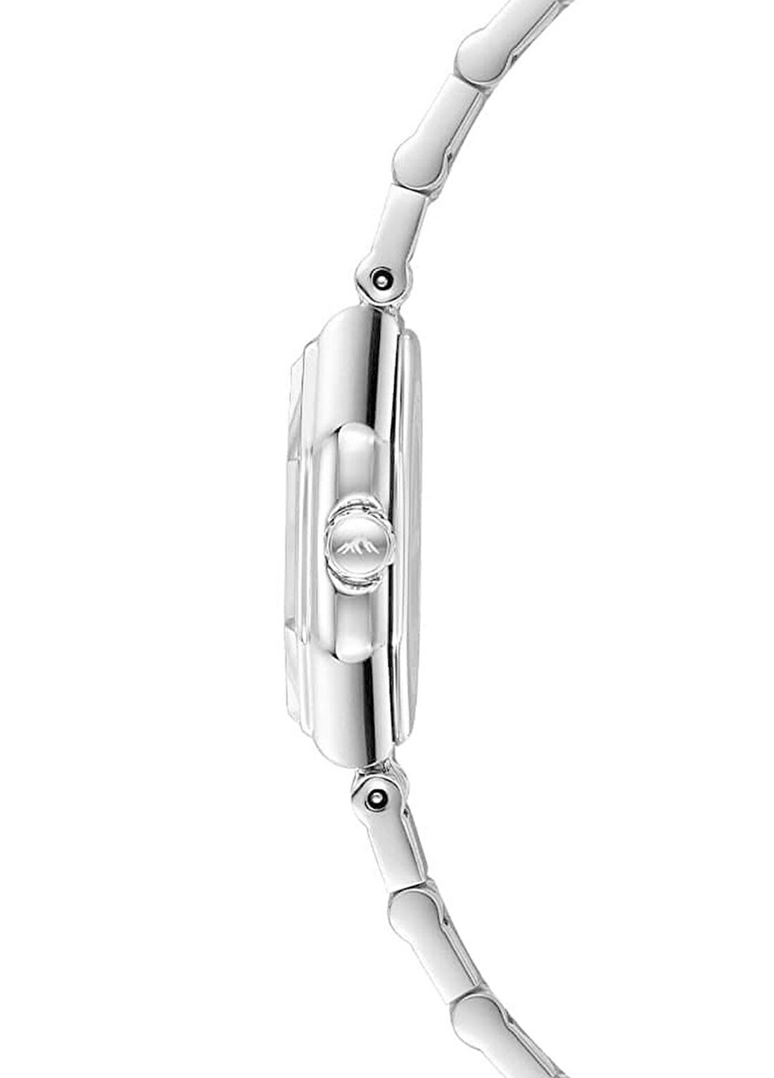 Roche Montre RML3003-01 Metalik Gri Çelik Kadın Kol Saati görsel 2