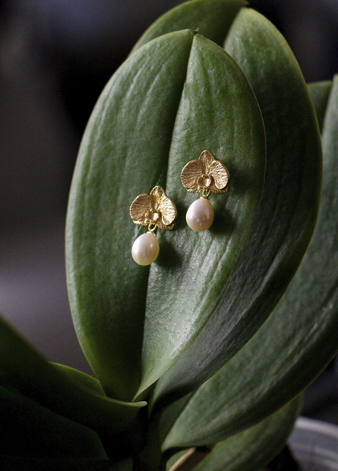 Alegoria Jewellery Orkide İnci 925 Ayar Gümüş Üzeri 24 Ayar Altın Kaplama Kadın Küpe görsel 3