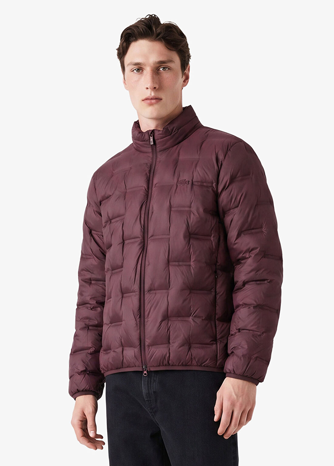 Lacoste Bordo Regular Fit Dik Yaka Erkek Kapitone Mont