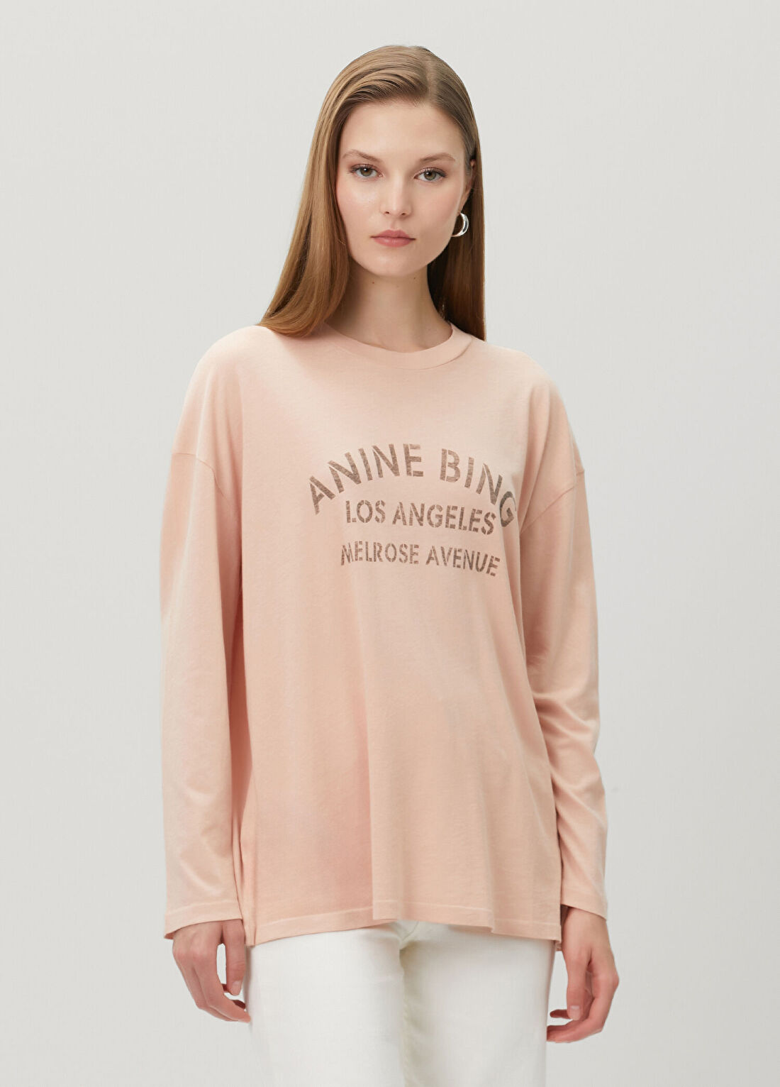 Anine Bing Ivan Melrose Stencil Somon Uzun Kol T-shirt görsel 3