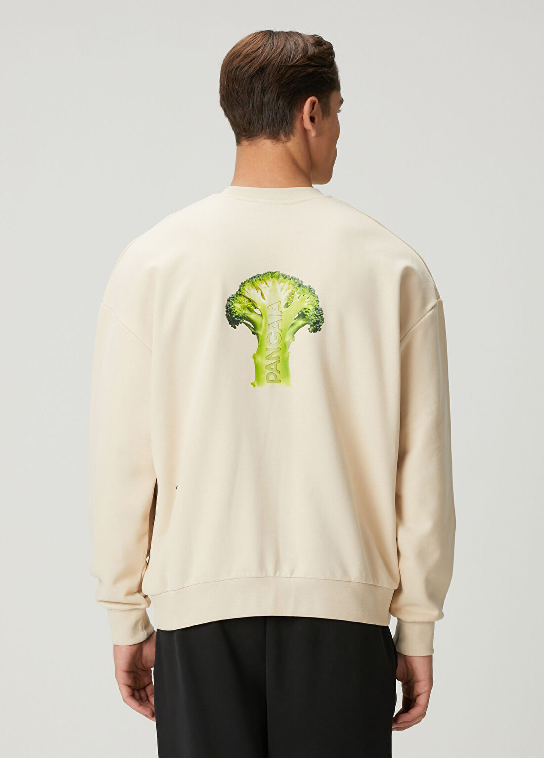 Pangaia Bej Sweatshirt görsel 4