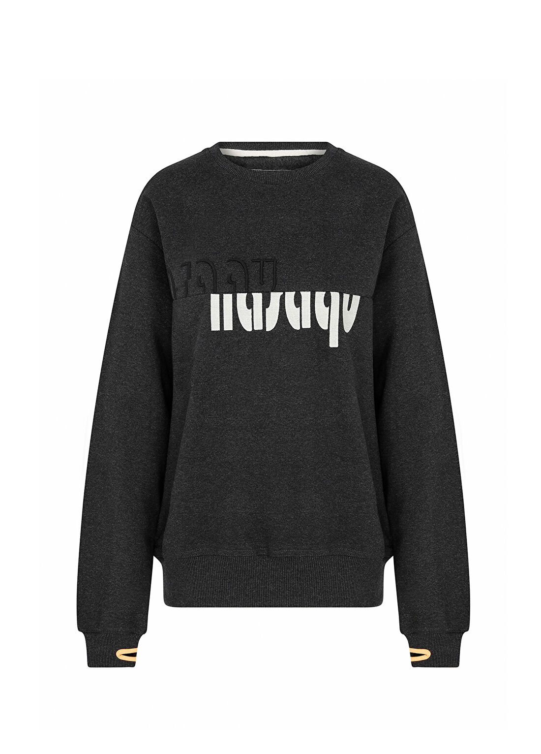 Nasaqu Rebu Regular Fit Antrasit Sweatshirt görsel 4