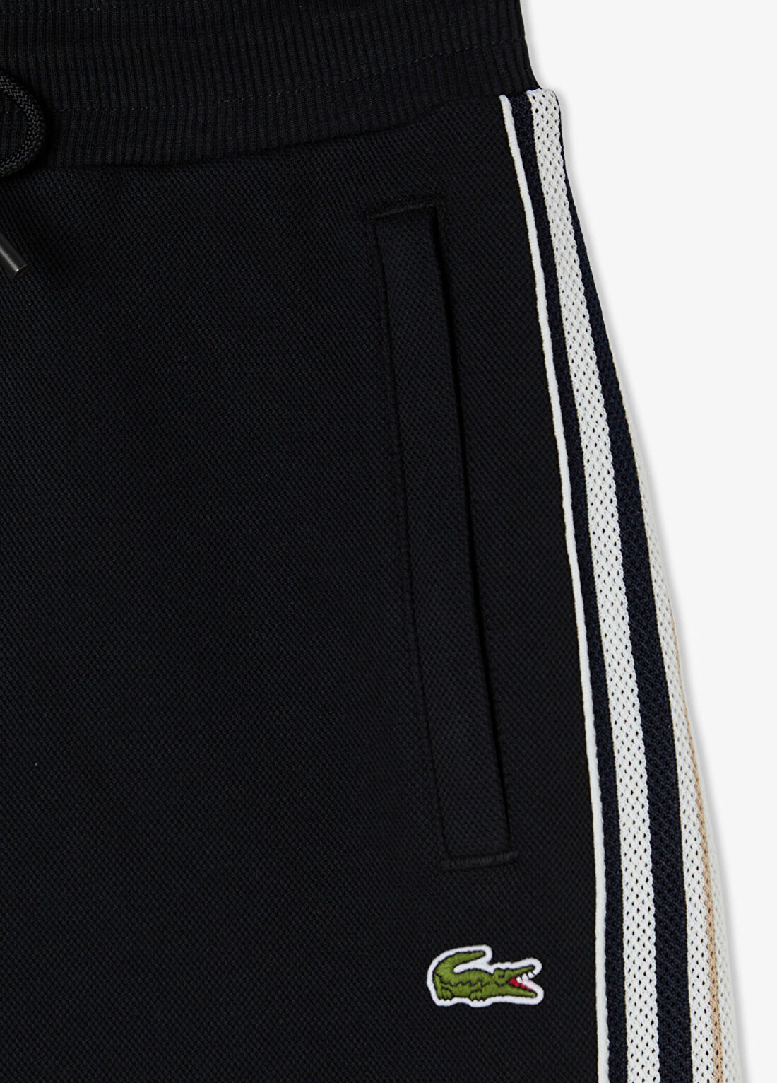 Lacoste Siyah Regular Fit Erkek Şort görsel 4