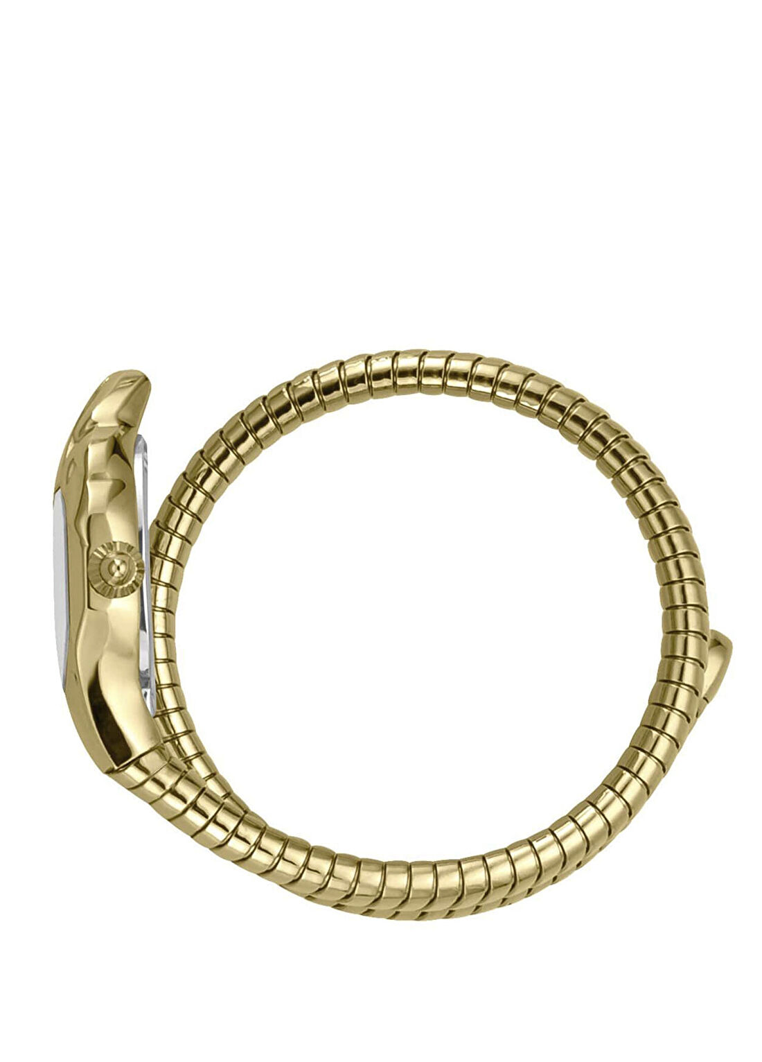 Just Cavalli JC1L001M0025 Altın Rengi Çelik Kadın Kol Saati görsel 3