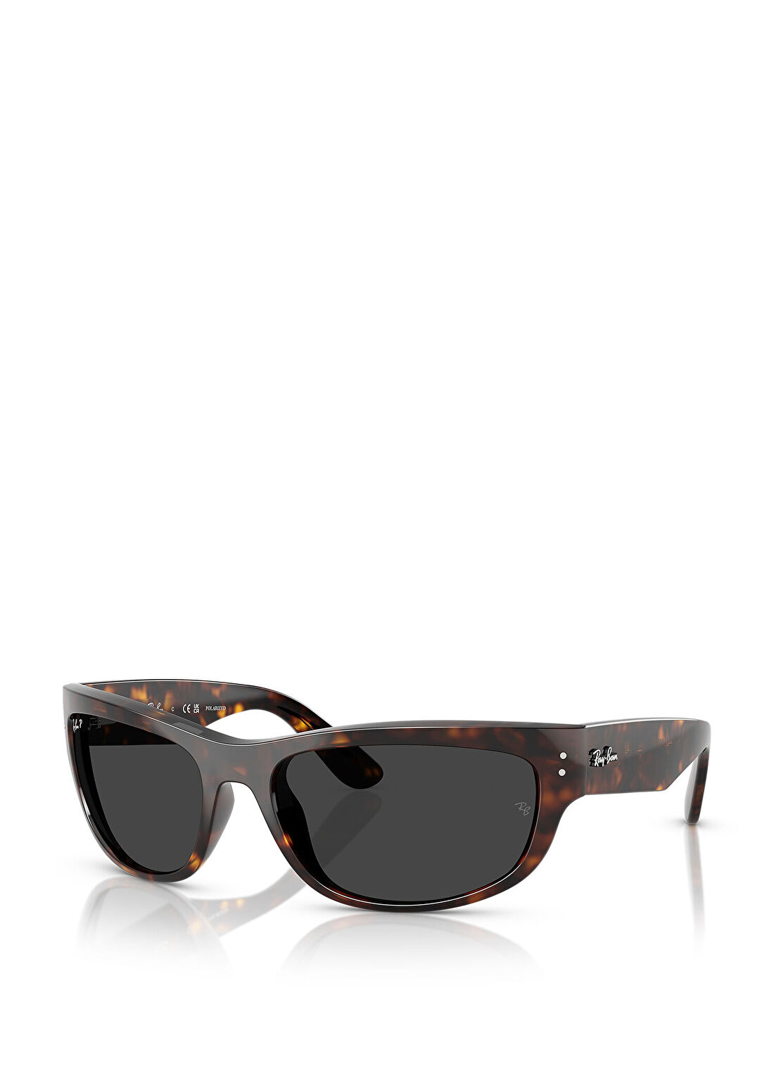 Ray-Ban Güneş Gözlüğü