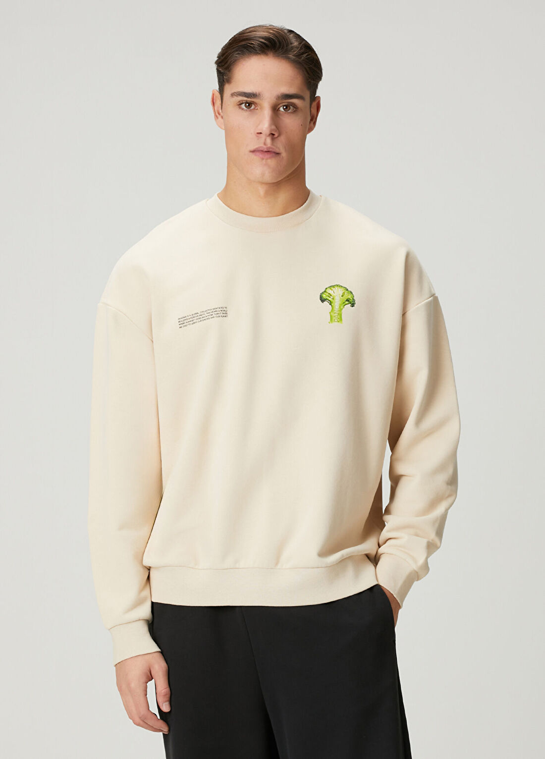 Pangaia Bej Sweatshirt görsel 3