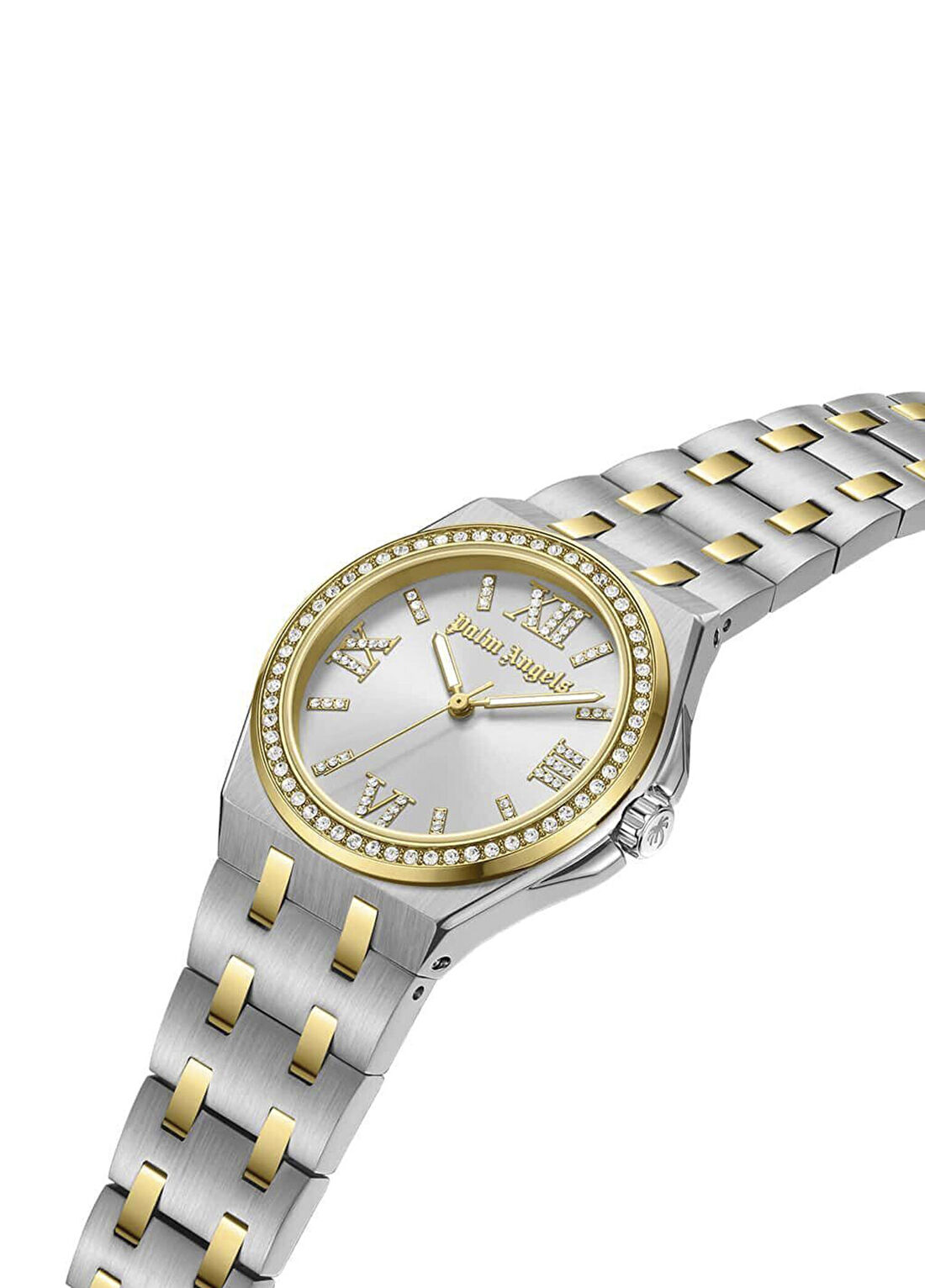 Palm Angels PMWLG0002001 Altın Rengi Metalik Gri Çelik Kadın Kol Saati görsel 2