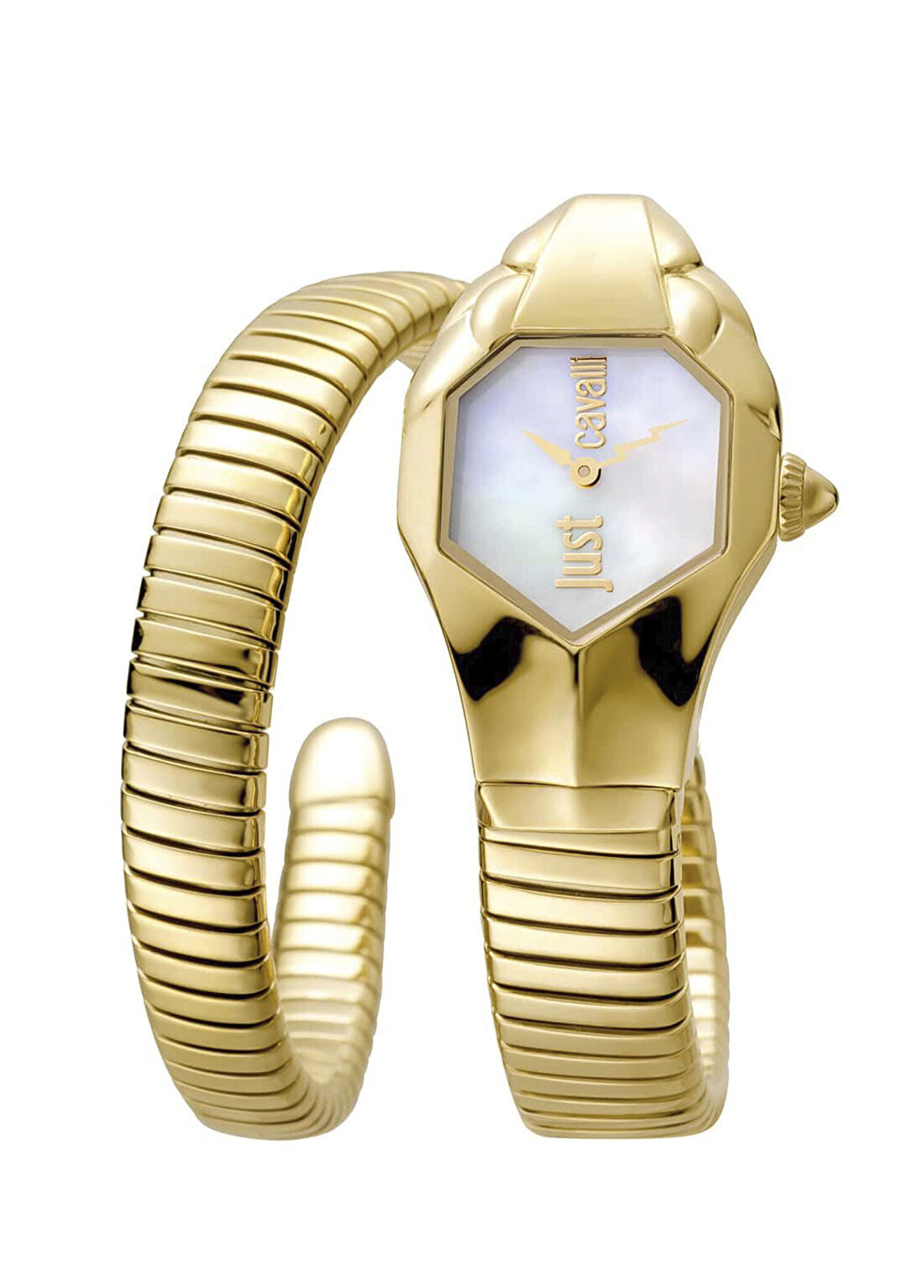 Just Cavalli JC1L001M0025 Altın Rengi Çelik Kadın Kol Saati