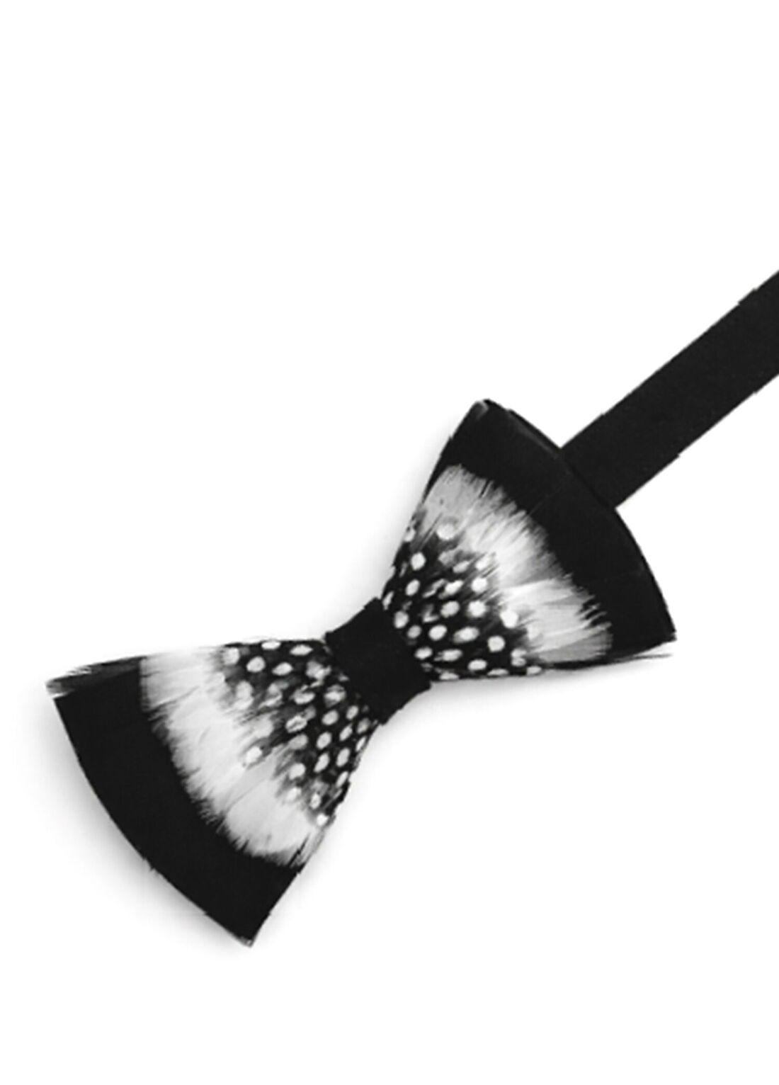 genius-bowtie Edgar Alan Poe Siyah Süet Papyon görsel 3