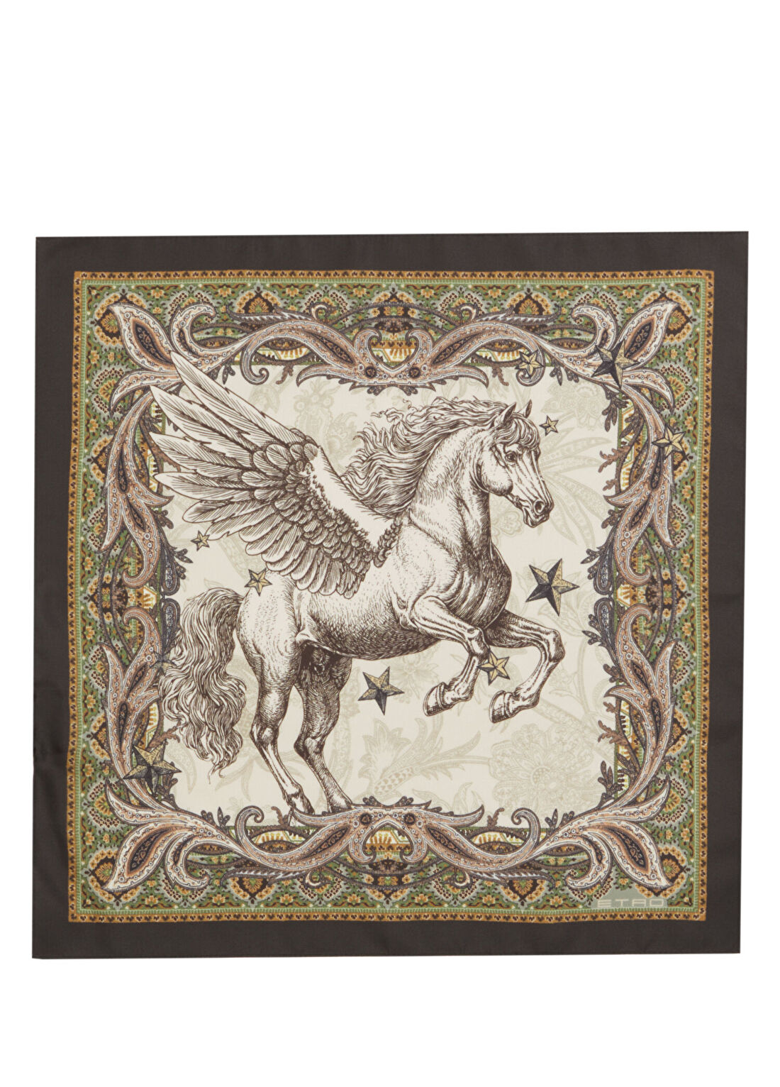 Etro Desenli İpek Poşet Mendil