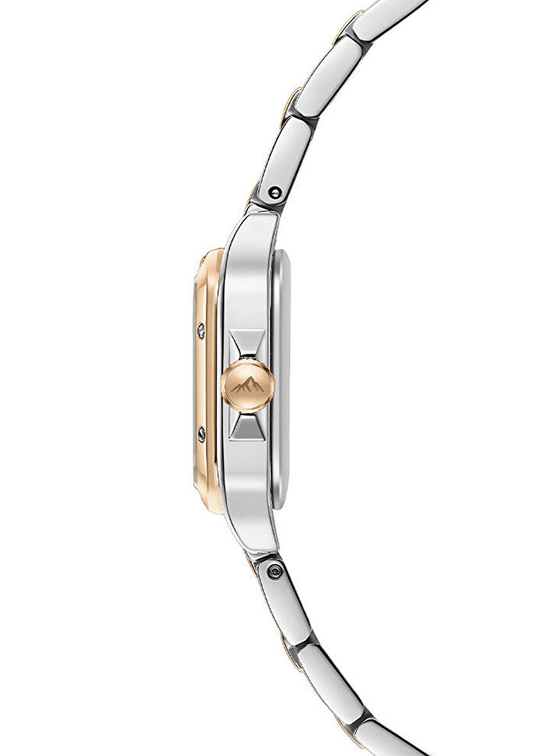 Roche Montre RML5022-02 Metalik Gri Rose Gold Çelik Kadın Kol Saati görsel 2