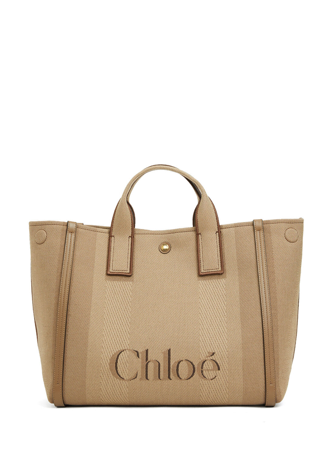 Chloe Carry Vizon Kadın Çanta
