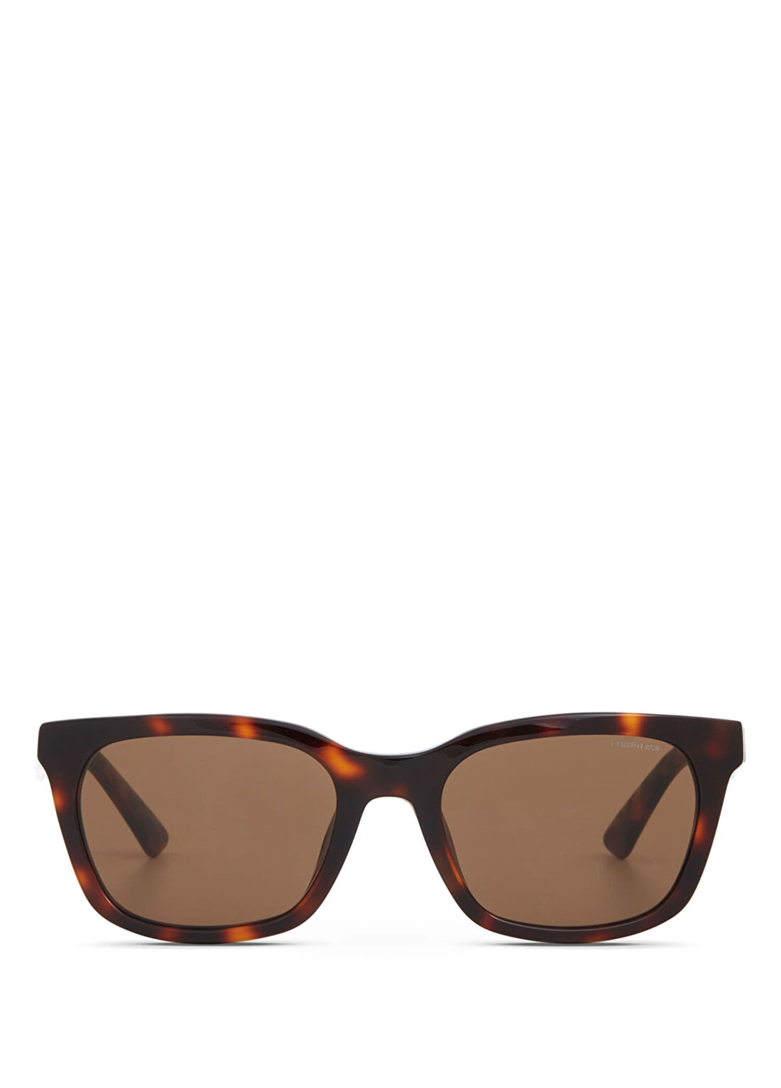 Cerruti 1881 CR 80064 C2 Havana Asetat Erkek Güneş Gözlüğü