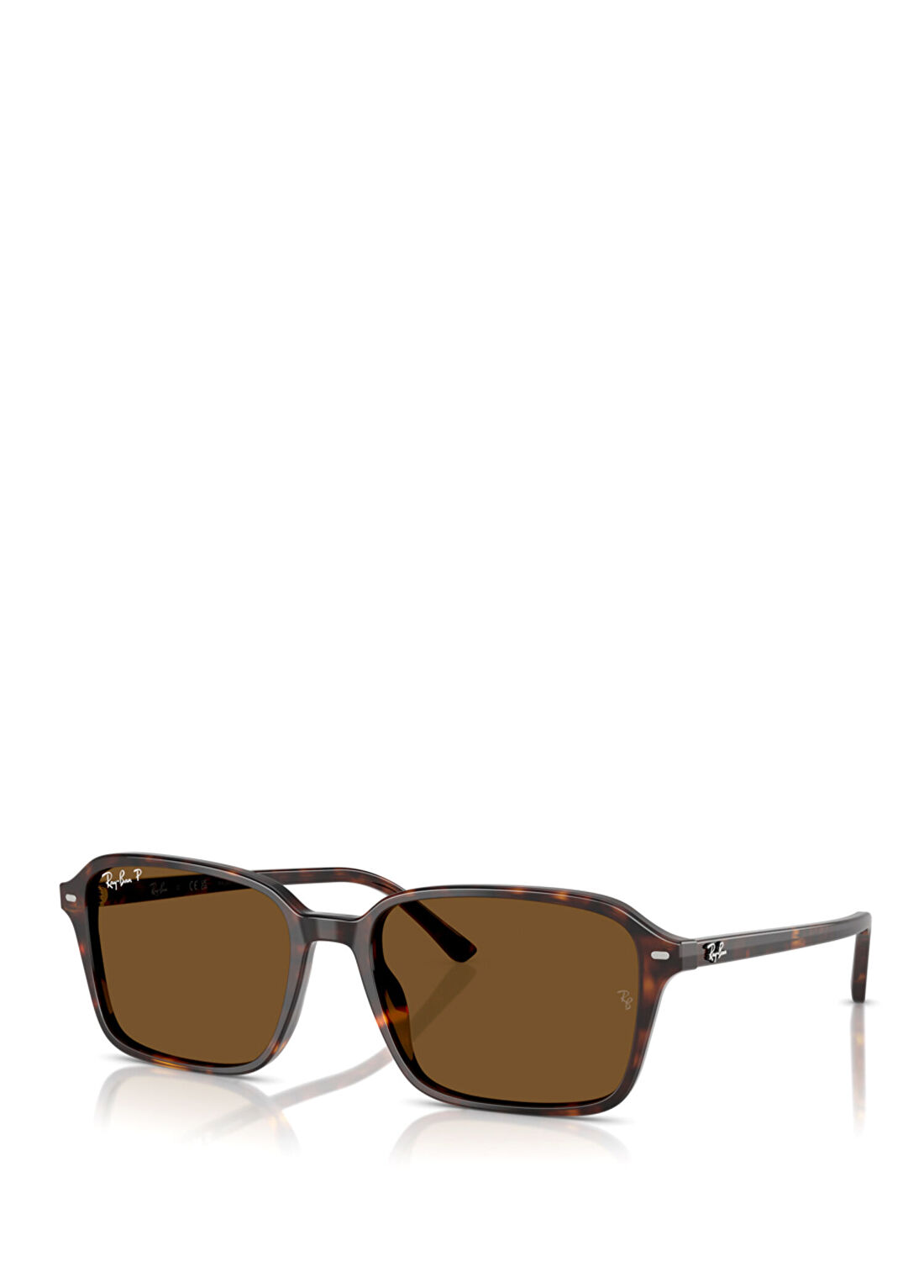 Ray-Ban RB2231 Kahverengi Unisex Güneş Gözlüğü