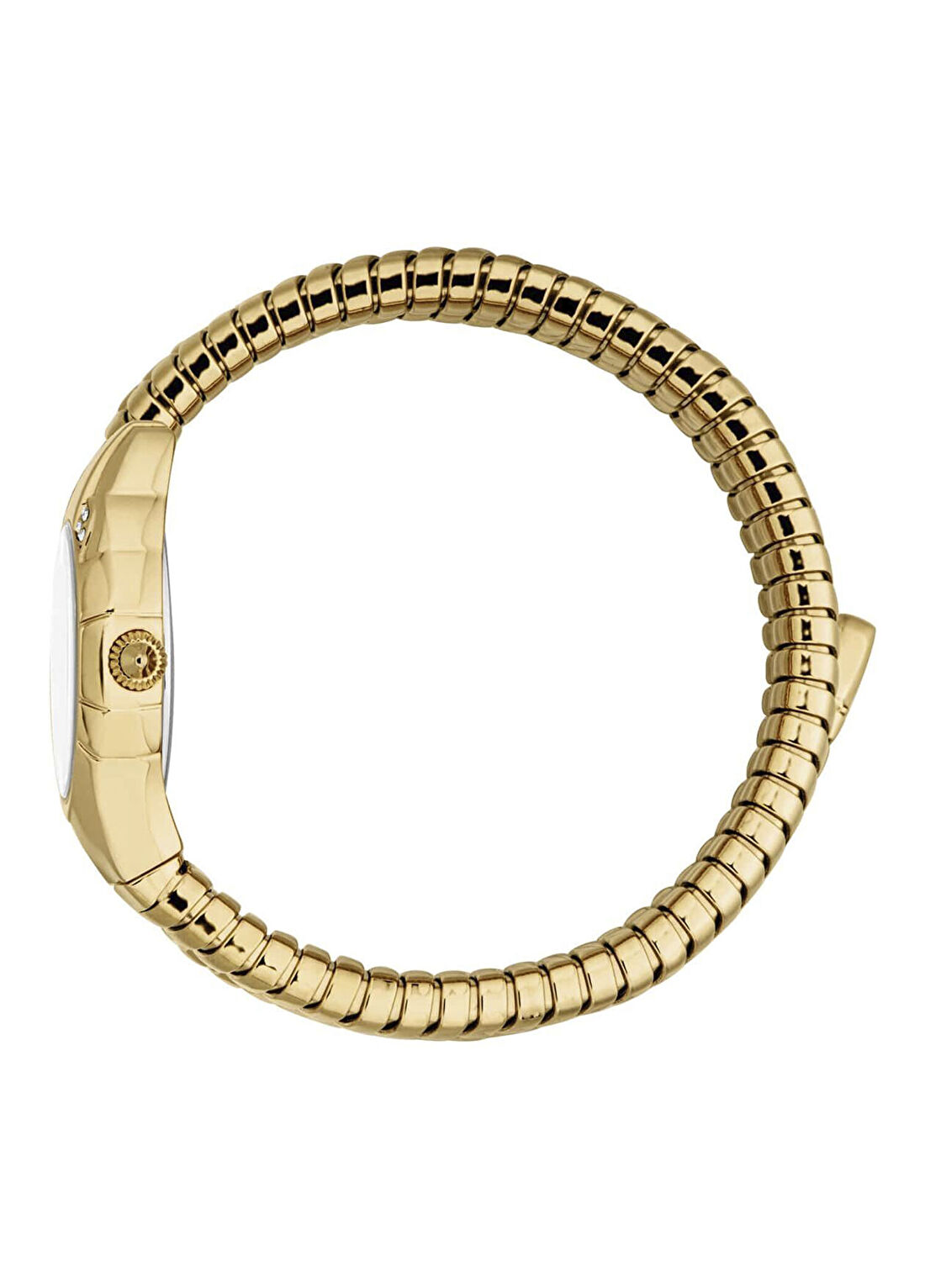 Just Cavalli JC1L393M0025 Vivace Altın Rengi Çelik Kadın Kol Saati görsel 3