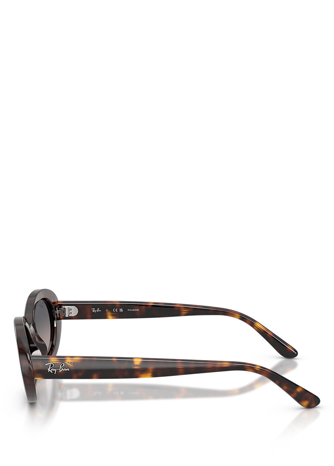 Ray-Ban RB2223 Kahverengi Kadın Güneş Gözlüğü görsel 3