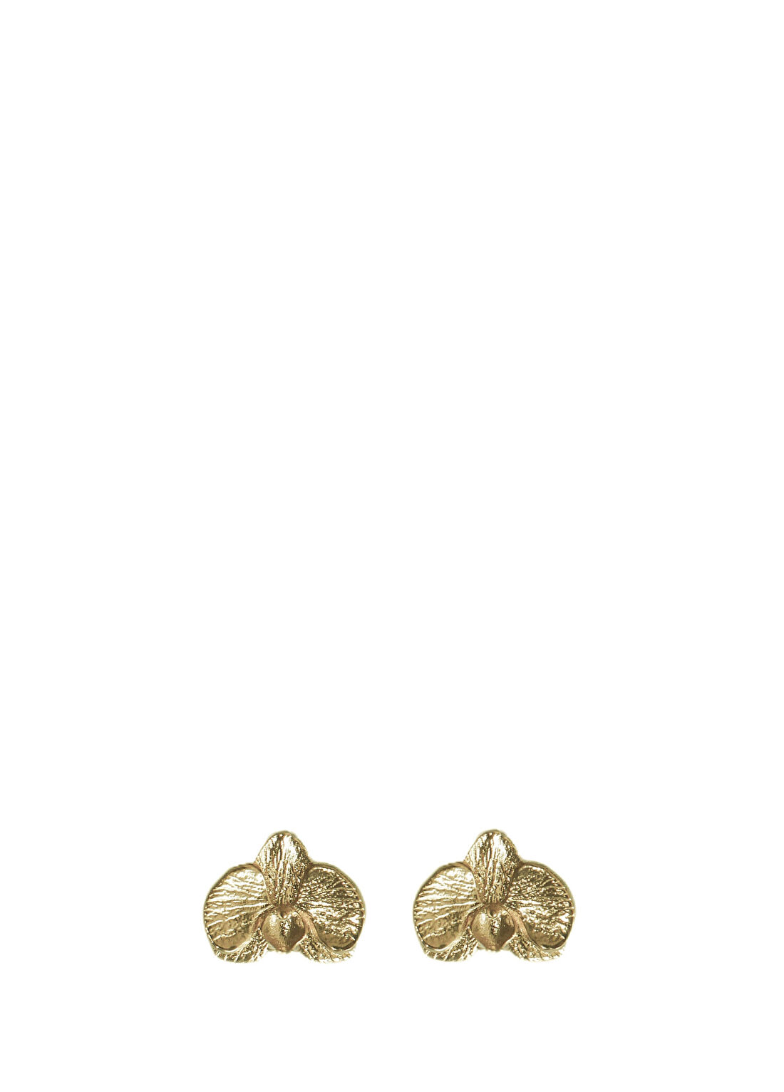 Alegoria Jewellery Orkide 925 Ayar Gümüş Üzeri 24 Ayar Altın Kaplama Kadın Küpe