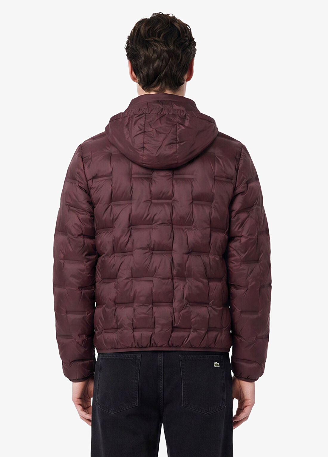 Lacoste Bordo Regular Fit Dik Yaka Erkek Kapitone Mont görsel 4