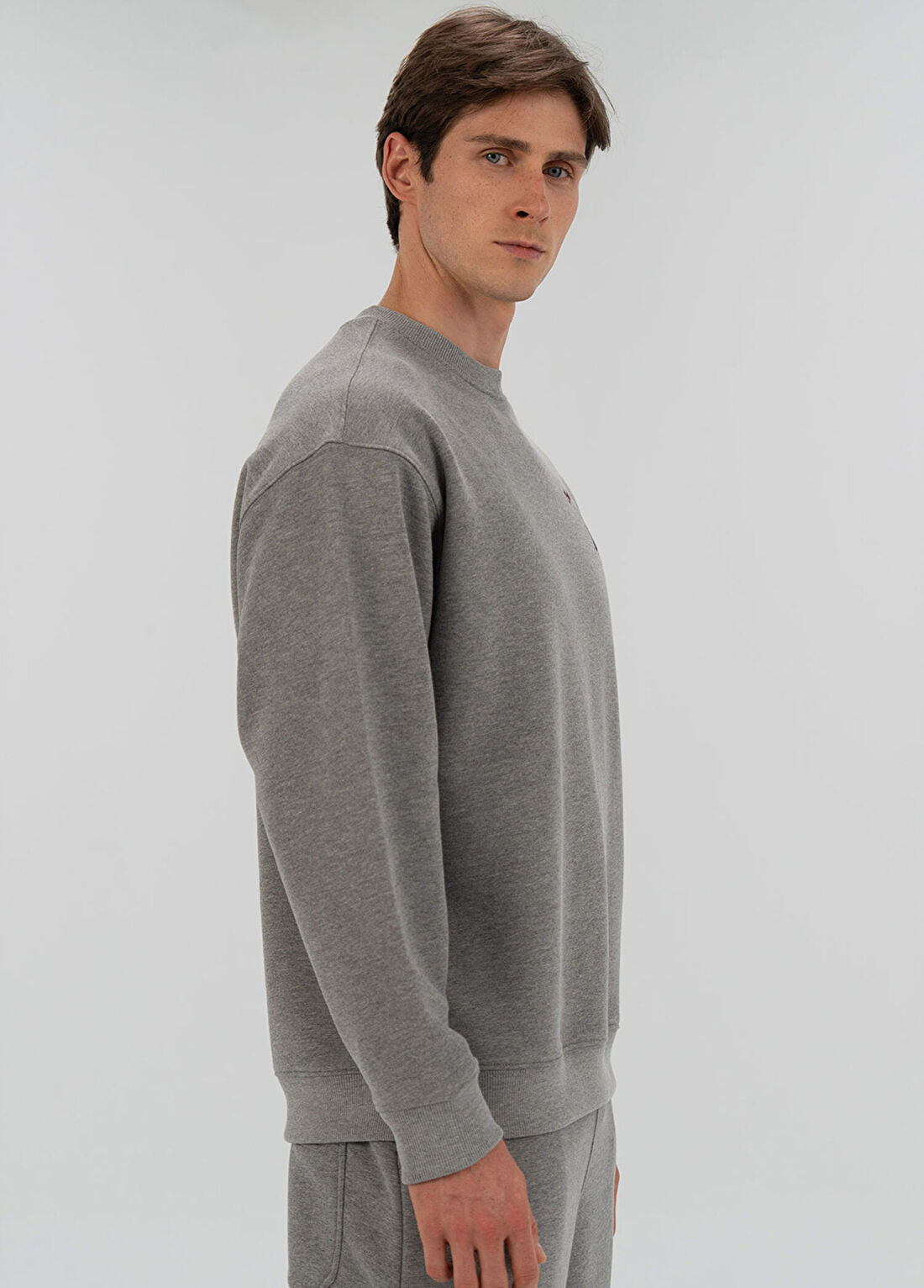 Everlast Heritage Champions Gri Unisex Spor Sweatshirt görsel 4