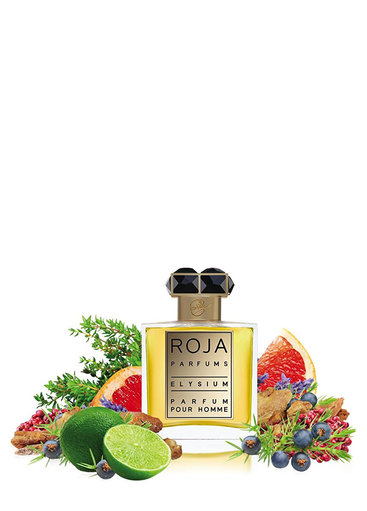 Roja Parfums Elysium Edp 50 ml Men's Perfume - 3