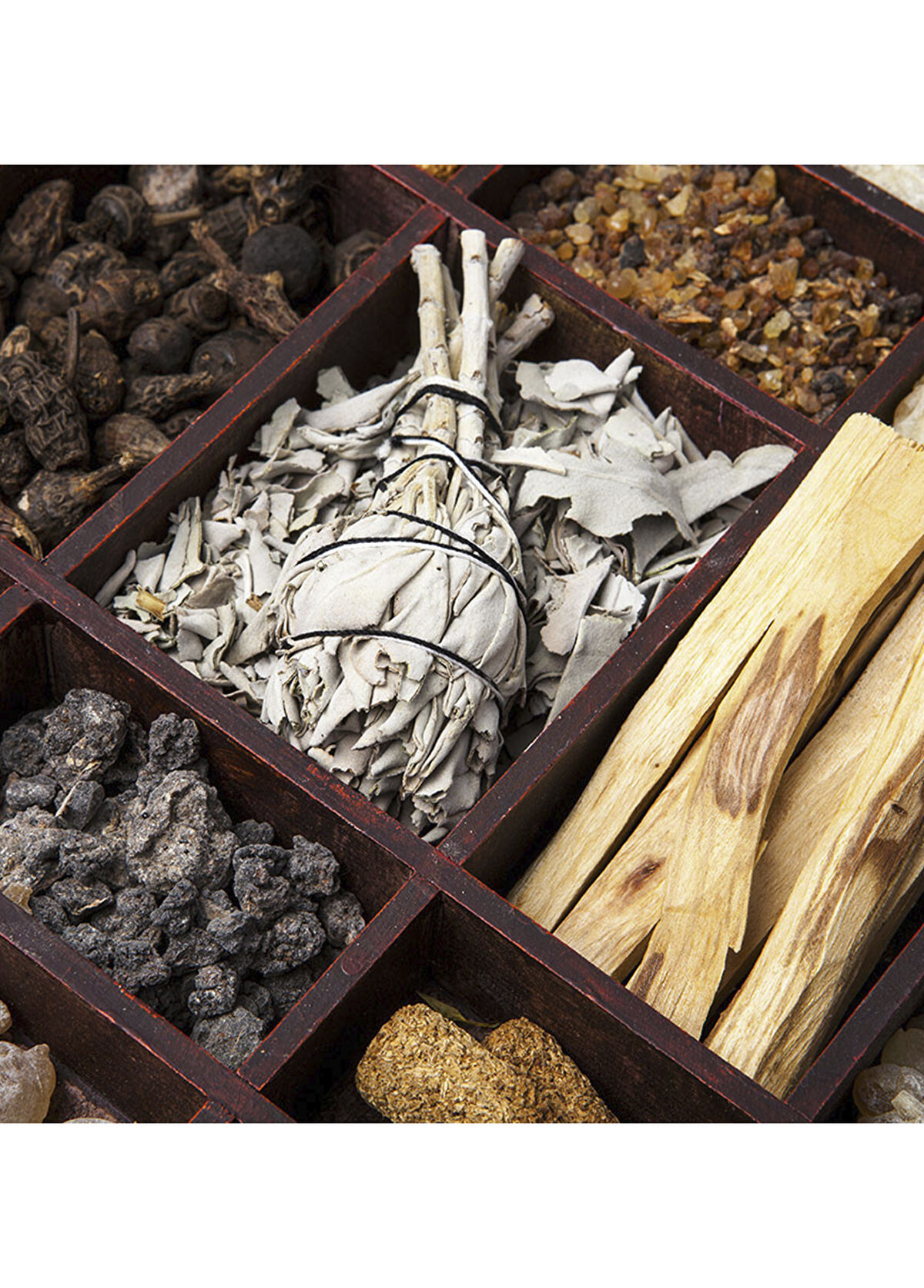 Carner Barcelona Palo Santo EDP 100 ml Unisex Parfüm - 3