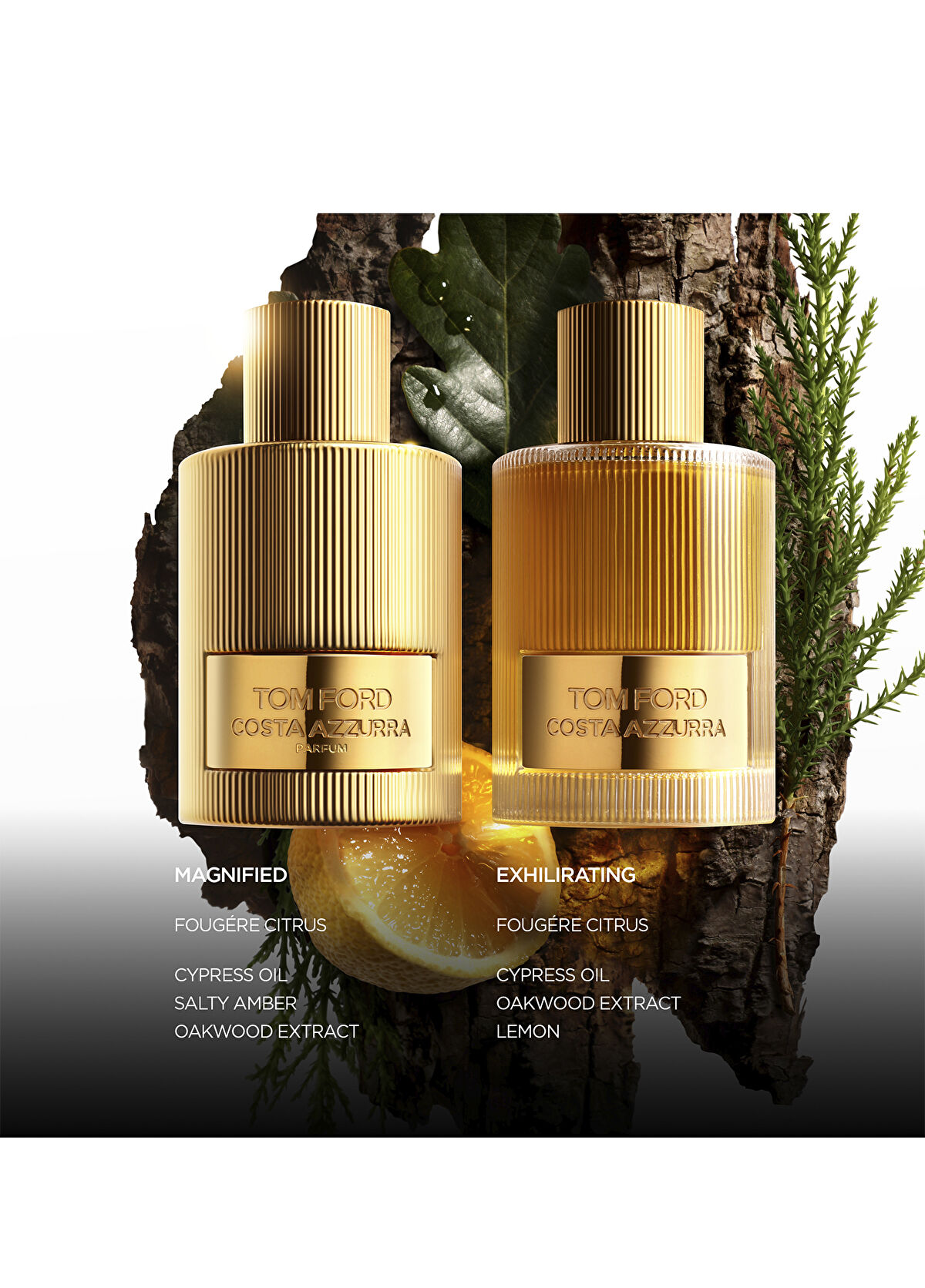 Tom Ford Costa Azzurra Edp 50Ml - 3