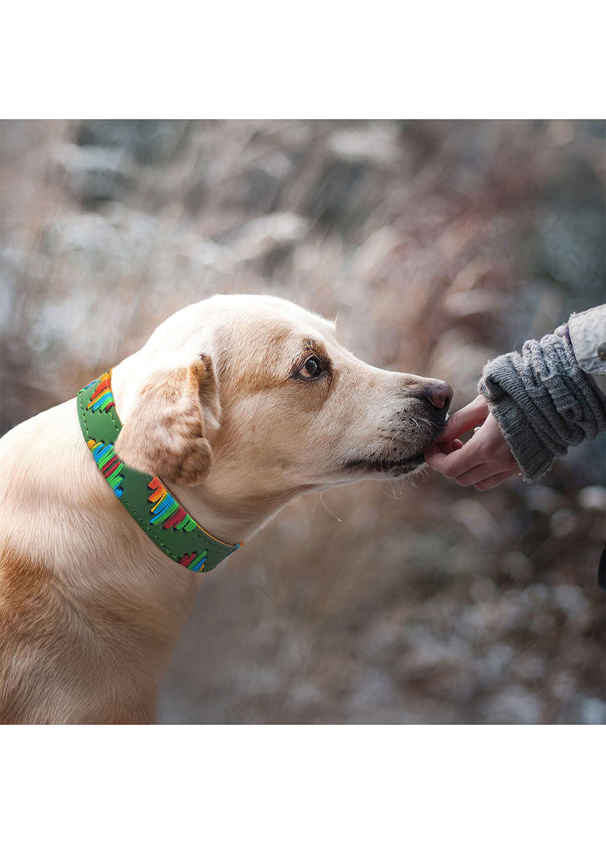 Zeynep Birinci Green Leather Dog Neck Collar - 3
