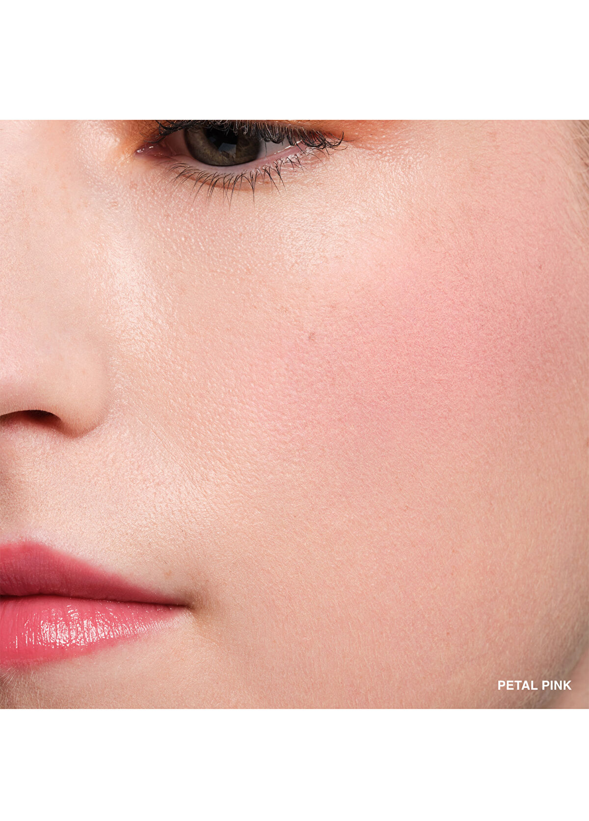 Bobbi Brown Pot Rouge Velvet Matte Petal Pink 7 - 3