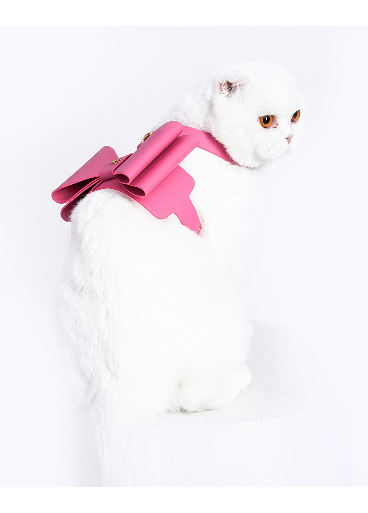 Moshiqa Metapink Bow Pink Cat Harness - 3