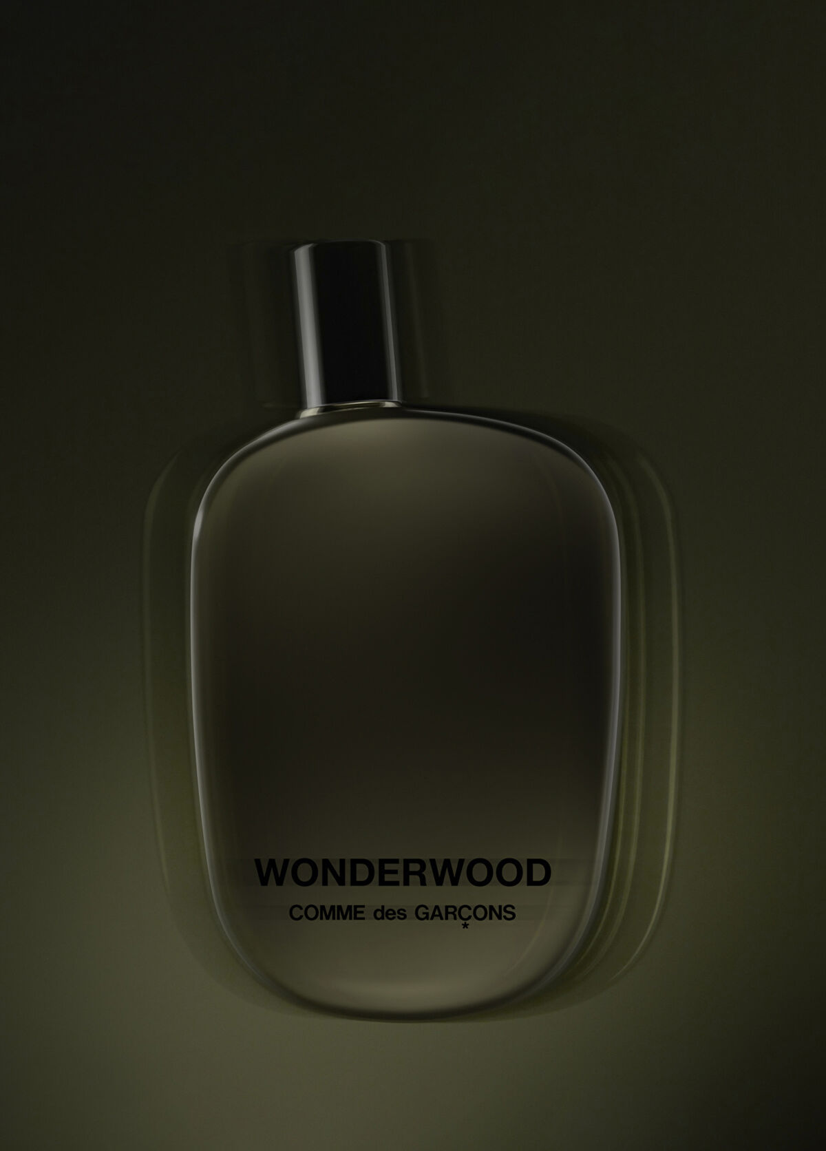 Comme des Garcons Wonderwood EDP 100 ml Parfüm - 3